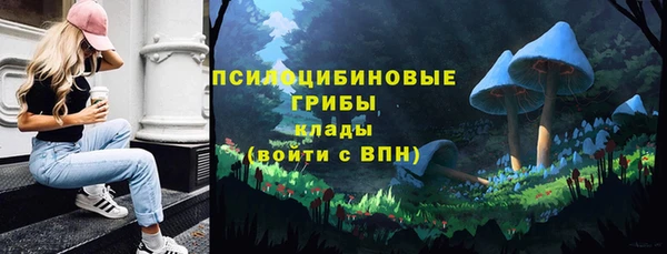 мдпв Карталы